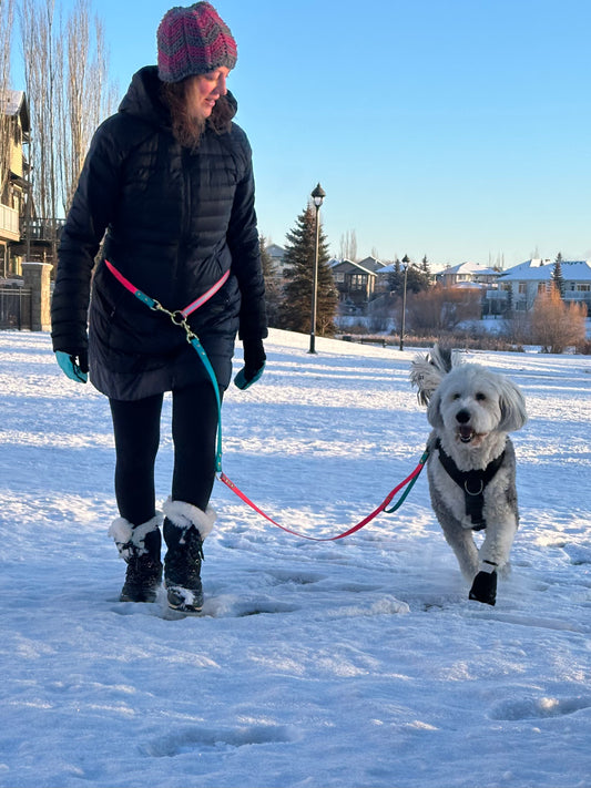 Handsfree Leash