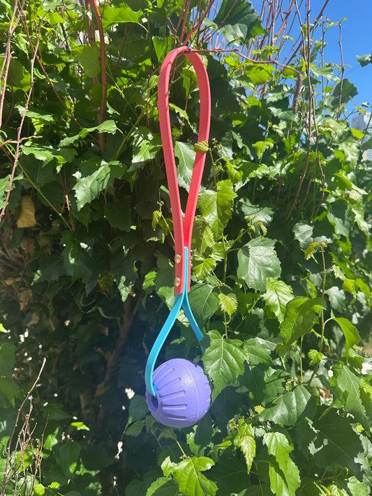 Floaty Ball Tugs