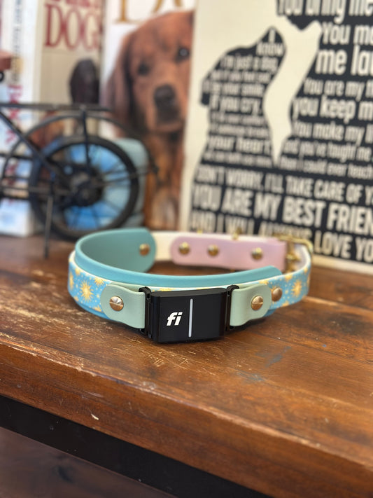 Fi Compatible Buckle Adjustable Flat Collar