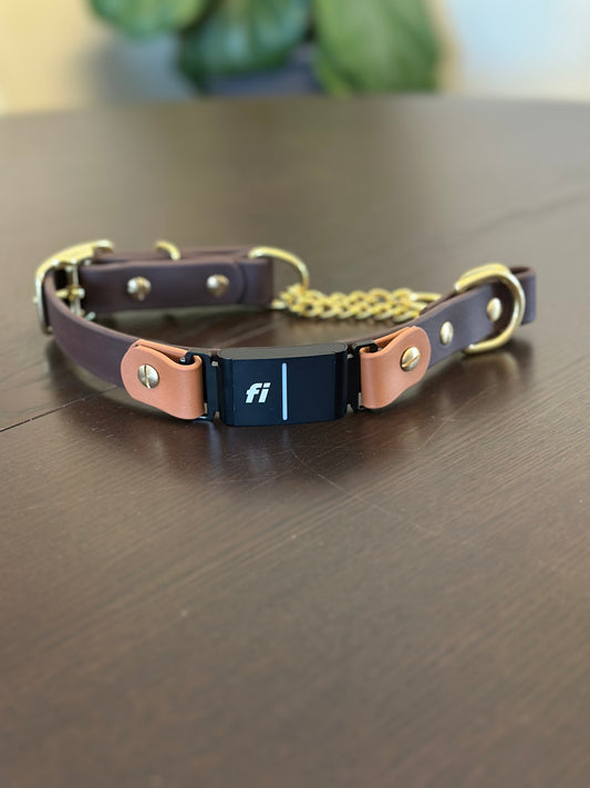 Fi Compatible Martingale Collar