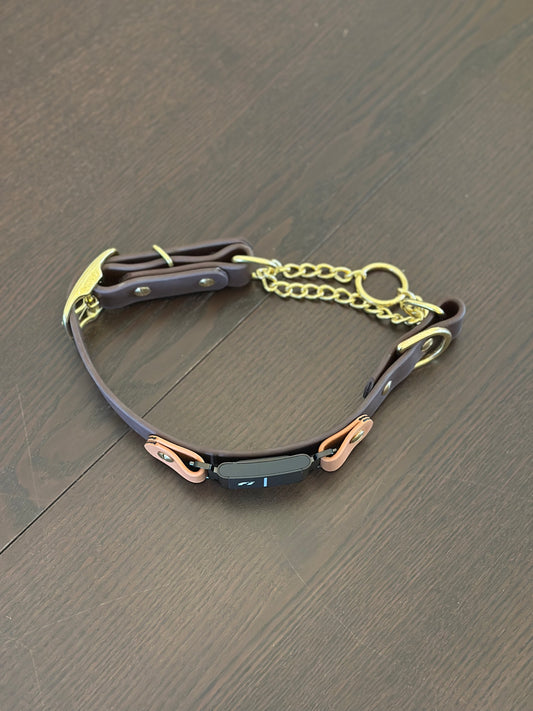 Fi Compatible Martingale Collar