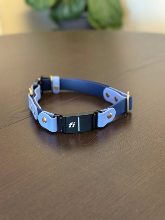 Fi Compatible Quick Release Flat Collar