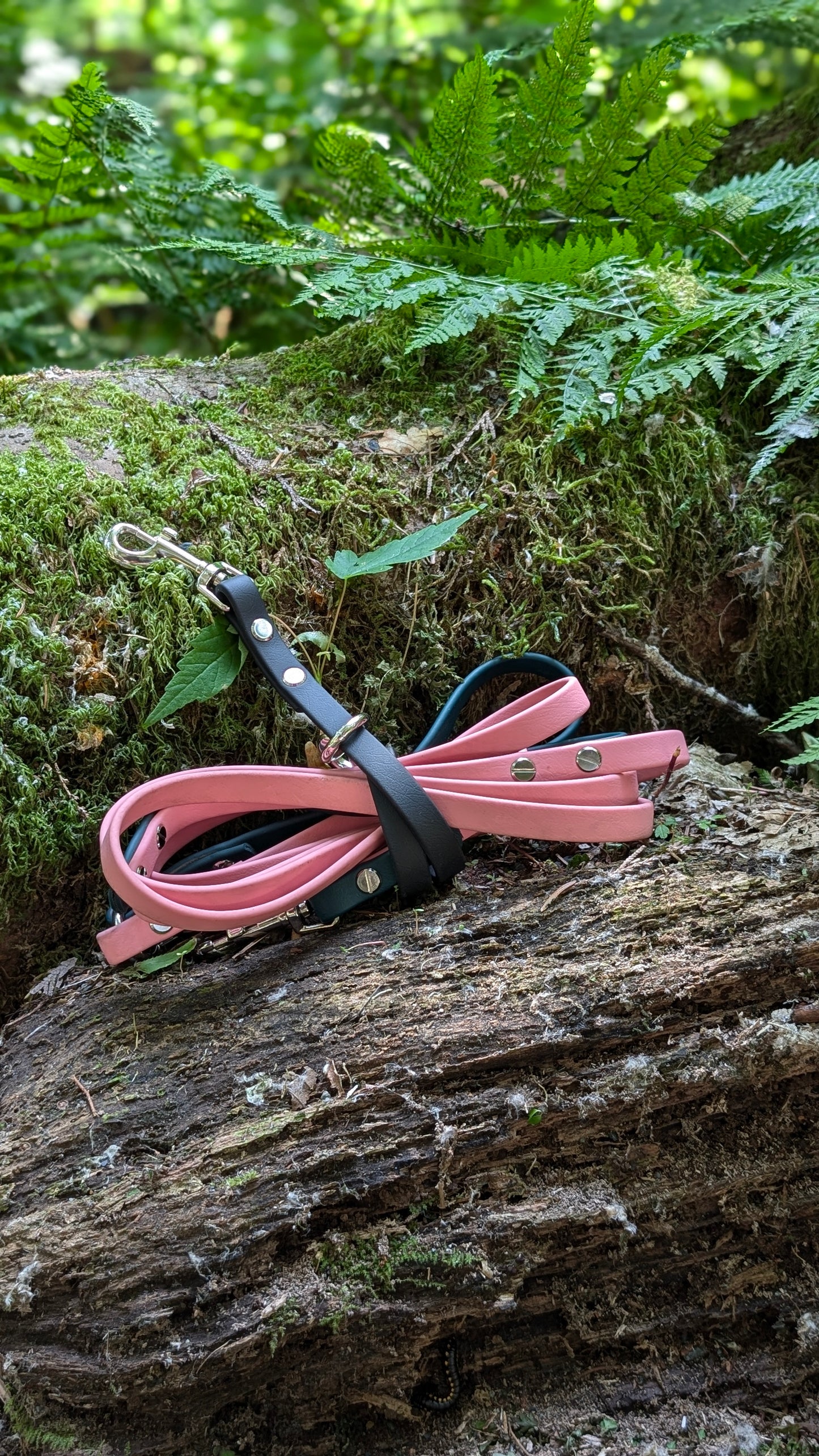 Longline Holder