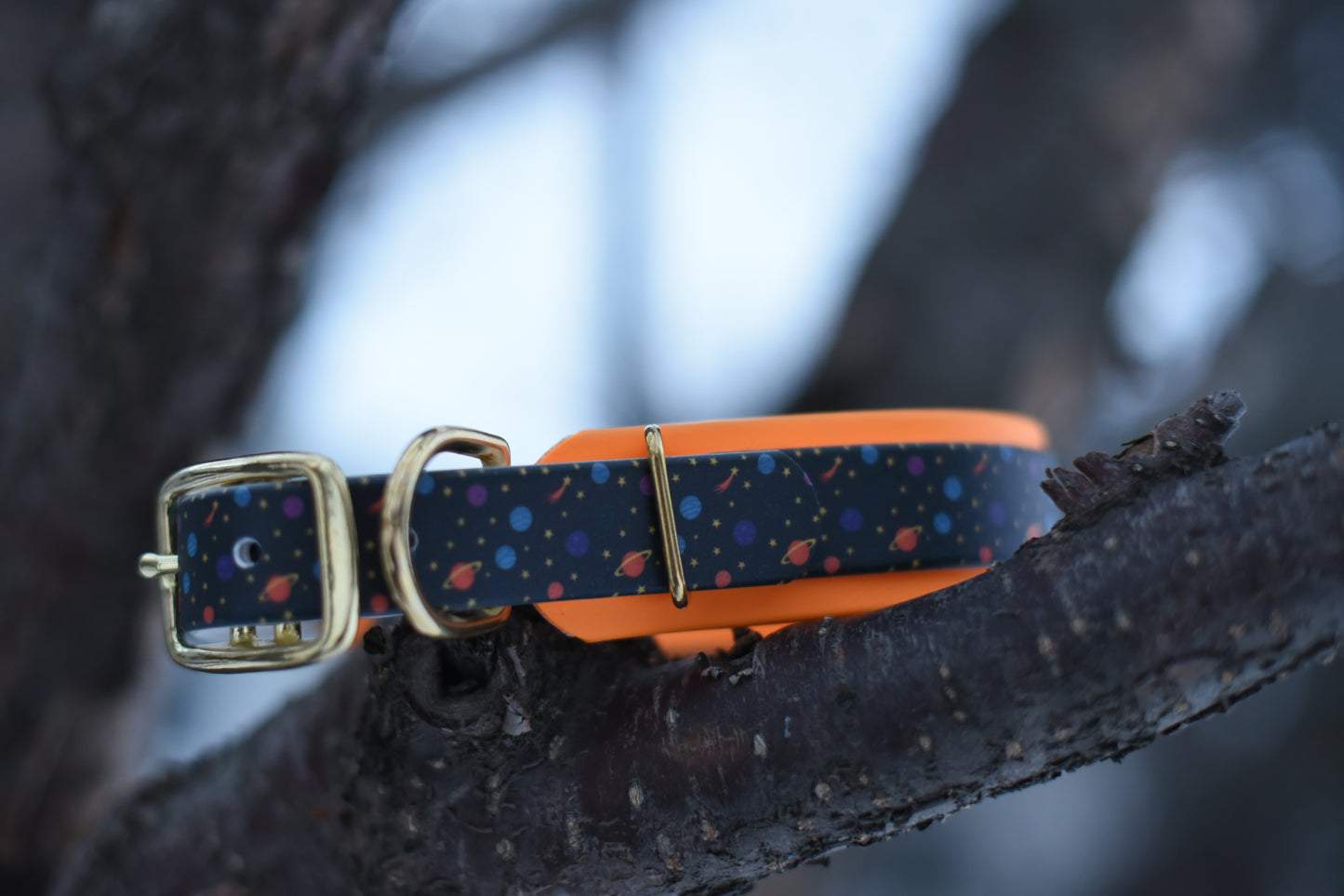 Cosmo themed collar layered on orange with brass hardware sitting on a tree brach 